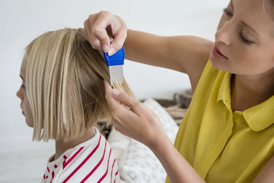 Lice Treatments