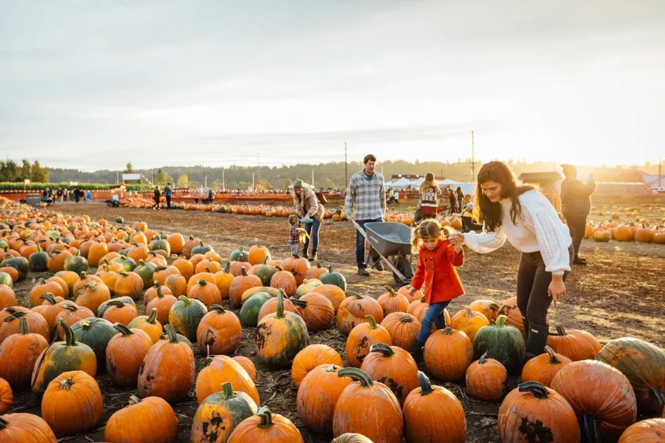 What to Wear to a Pumpkin Patch? Complete Guide 2023