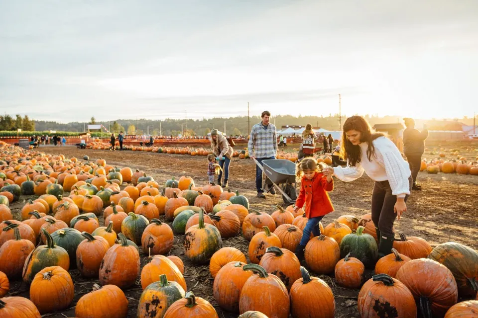 What to Wear to a Pumpkin Patch