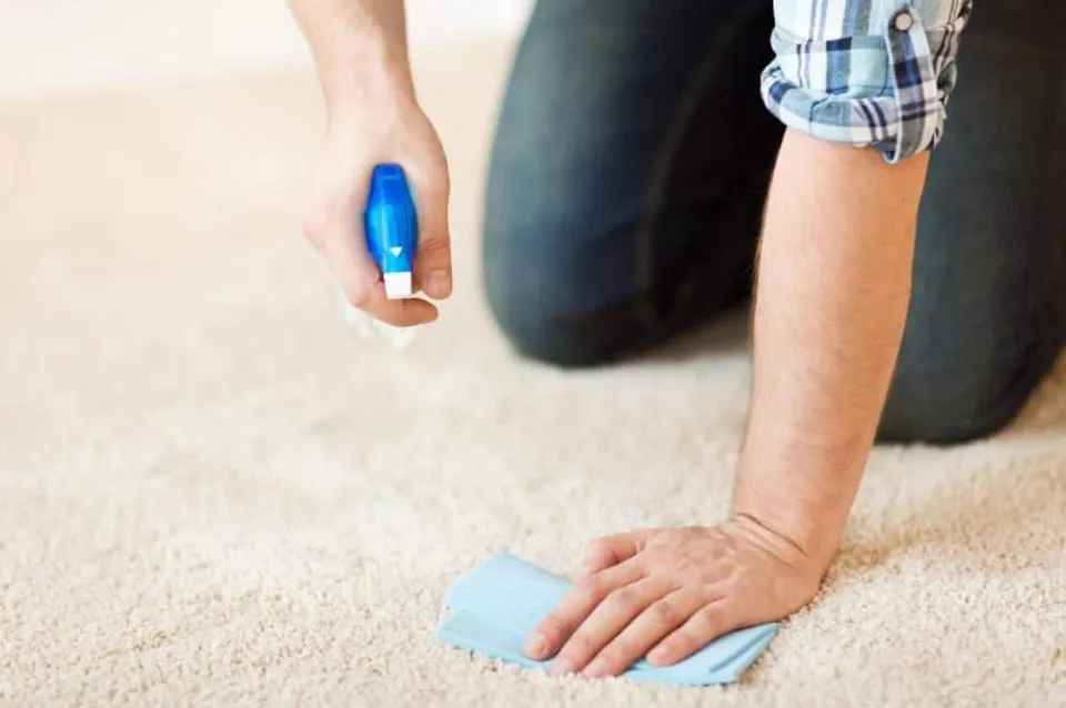 How to Remove Lipstick Stains from Carpet