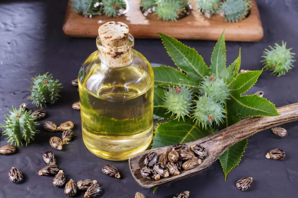 How to Keep Castor Oil Fresh for a Long Time