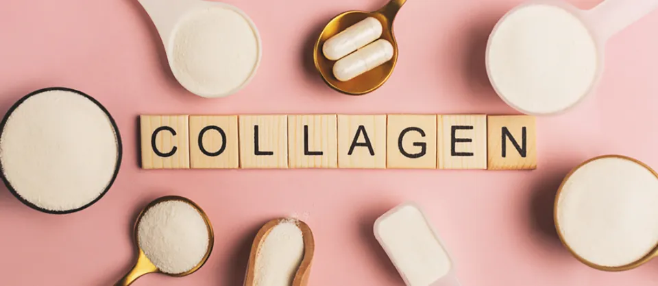 What is Collagen? Types, Functions and More