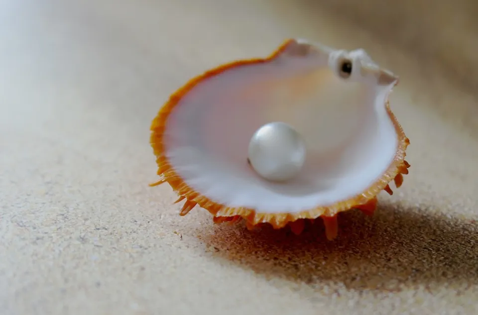 How to Tell If Pearls Are Real? 7 Easy Tips