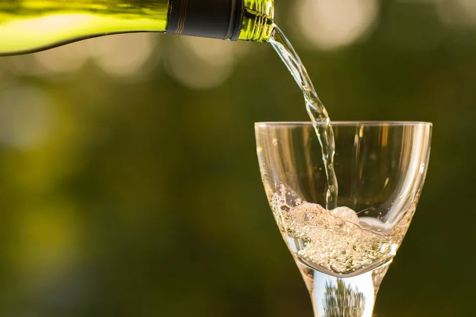 Does White Wine Stain Teeth? Facts to Know